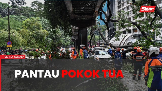 Garis panduan pantau pokok tua akan dilakukan – Dr Zaliha