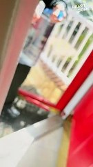 Mom Gets the Best Surprise Ever! Adorable Puppy Heals Hearts