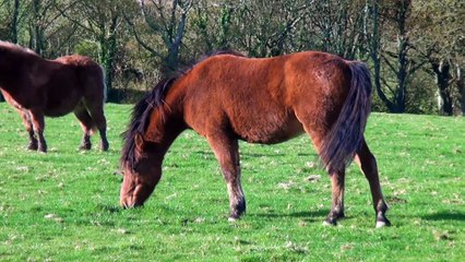 Downderry Cornwall England Ocean 6th Nov 2016
