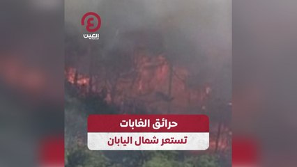 حرائق الغابات تستعر شمال اليابان