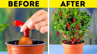 Garden Like a Pro  Transform Your Yard with These Top Hacks and Tips!