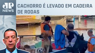 Moradores e animais são resgatados em Canoas (RS); Trindade comenta