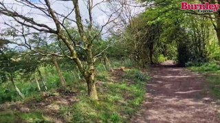 A stroll around the Briercliffe Woodland Walk in Burnley