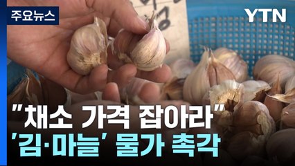 '위기의 밥상 물가'...정부 노력에도 김·마늘은 변수 / YTN