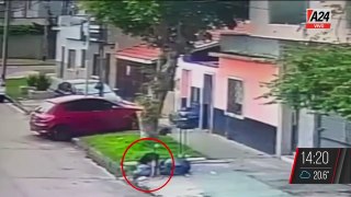 Avellaneda: vecinos denuncian a un hombre que le dispara a los perros
