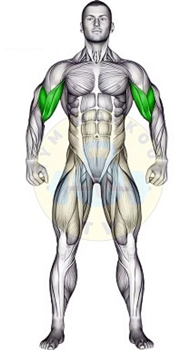 Barbell Biceps Blast #bodybuilding #bicep #shorts #barbellexercises