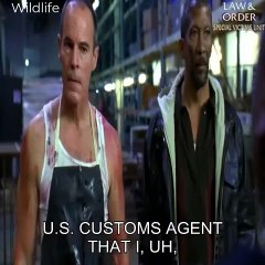 LAW & ORDER :SVU (WILDLIFE)