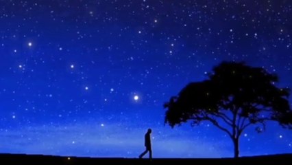 Tạ từ trong đêm - Trần Thiện Thanh