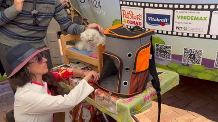 A Napoli il Pet Camper Tour