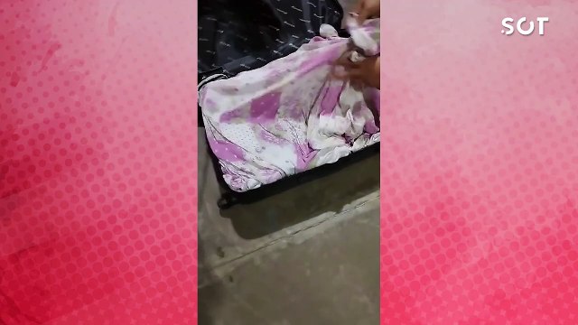 Mais de uma tonelada de maconha e contrabando são apreendidos em ônibus interestaduais no oeste