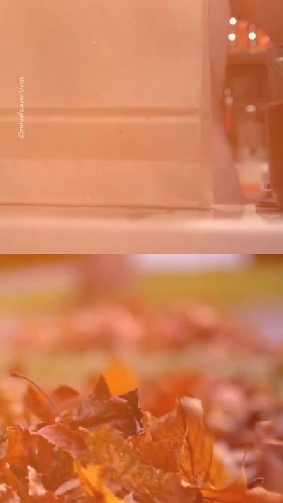 Abonne-toi pour suivre d’autres solutions positives !     @theimpactstory   Source : Releaf paper bags    #sac #plastique #feuillesmortes #feuillesdautomne #arbres #innovation #ecologie #environnement