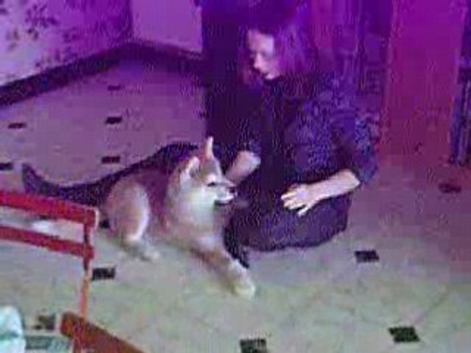 Ufo ne veut pas apprendre à allez chercher 2004-01-10-03