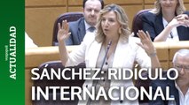 Demoledora esta senadora del PP contra Sánchez por su 