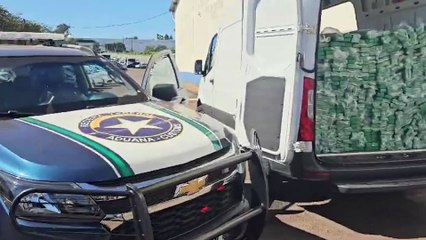 Receita Federal apreende 300 Kg de maconha em transportadora em Cascavel