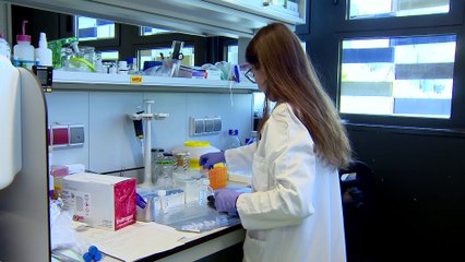 Un estudio identifica una nueva forma genética del Alzheimer y abre la puerta a más hallazgos