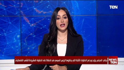 مجلس النواب يؤيد ويدعم الخطوات الثابتة للرئيس السيسي في الحفاظ على الحقوق المشروعة للشعب الفلسطيني