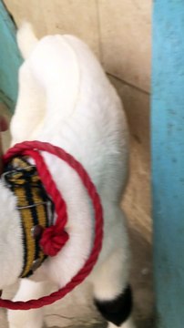 4F90CA74-6BE7-459C-9125-7AE17EDDFF0B