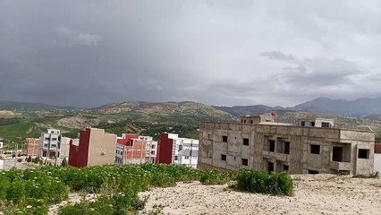 Taza ya taza