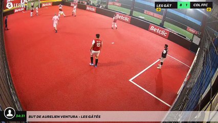 But de Aurelien Ventura - LES GÂTÉS