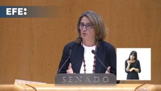 Ribera acusa a la derecha de populismo en defensa del campo y PP le afea su 