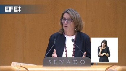 Ribera acusa a la derecha de populismo en defensa del campo y PP le afea su "ecopostureo"