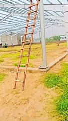  ZS Mayo Engineering Services: Your One-Stop Solution for All Your Structural Needs! ️