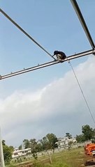  ZS Mayo Engineering Services: Your One-Stop Solution for All Your Structural Needs! ️