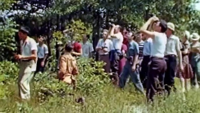 All Watched Over by Machines of Loving Grace - Episode 2 - The Use and Abuse of Vegetational Concept