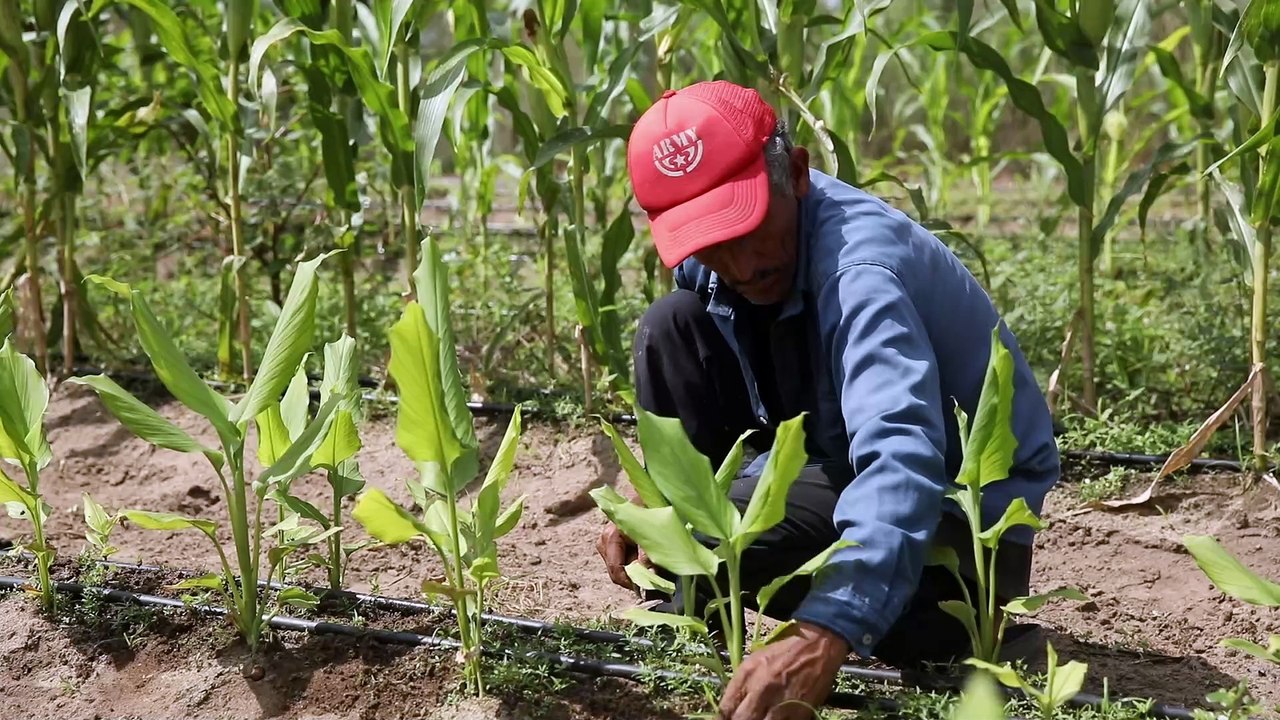 MAXIAGRO_2024