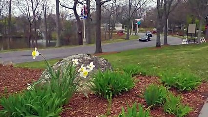 Exotic and Luxury on Display - Bentley University Car Show