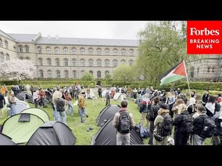 Students At Copenhagen University In Denmark Initiate Gaza Solidarity Encampment