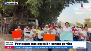 Habitantes de Michoacán protestan por agresión contra perrita