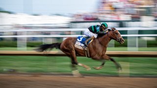 150th Kentucky Derby: By the Betting Business Numbers