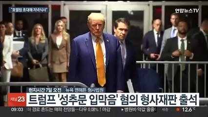 "트럼프와 성관계" 전직 성인영화 배우 증인 출석