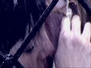 Taty-Ne_ver_ne_boisya_ne_prosi