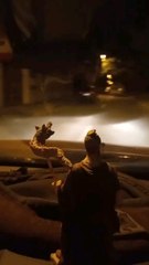 Șogor Tiberiu Adrian 08/05/2024- Începe sa vorbească de la min. 15.