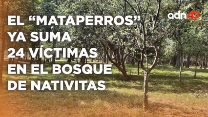 El "Mataperros" vuelve a atacar, encuentran una nueva víctima en medio del bosque de Nativitas