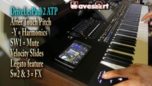 Pa5X-4X WavesArt Drive E.Guitars in Guitars Suite 3