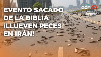 ¿Cuál es el fenómeno que provoca una lluvia de peces en zonas cerca del mar? I Ruleta Informativa