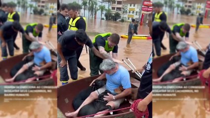 Homem se emociona ao resgatar quatro cães no RS
