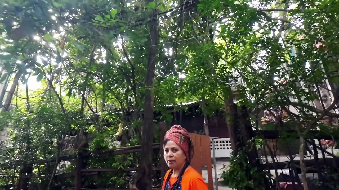 Alles ist Eins. Jesus, Buddha, Shiva und Co. #Jesus #Buddha #Shiva #Ashram