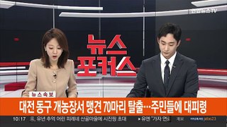 [속보] 대전 동구 개농장서 맹견 70마리 탈출…주민들에 대피령