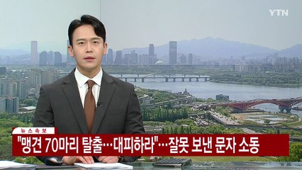 "맹견 70마리 탈출...대피하라" 잘못 보낸 문자에 소동 / YTN