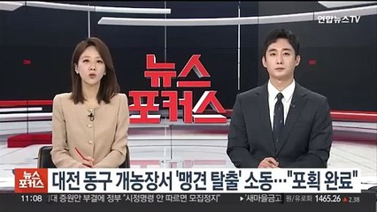 대전 동구 개농장서 '맹견 탈출' 소동…"포획 완료"