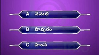 Interesting Questions Telugu