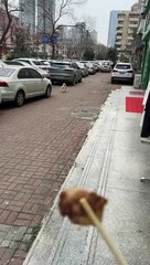 [BraveDown.Com] [有一天我心情放松了，啥也不干，我也要] [1715135880]