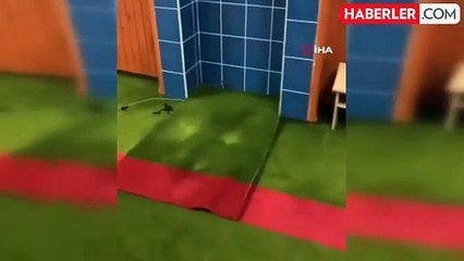 Camiyi yılanlar bastı! Hep 2 vakitte geldiler