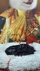 Tomato -flavored dog kennel!