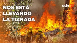 Incendios forestales en Hidalgo y EdoMex, ¿fueron provocados? I Súbete al Mame