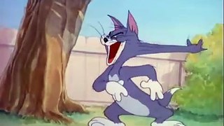 Tom and Jerry cartoon episode 41 - Hatch Up Your Troubles 1948 - Funny animals cartoons for kids